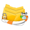 recover public & private folders
